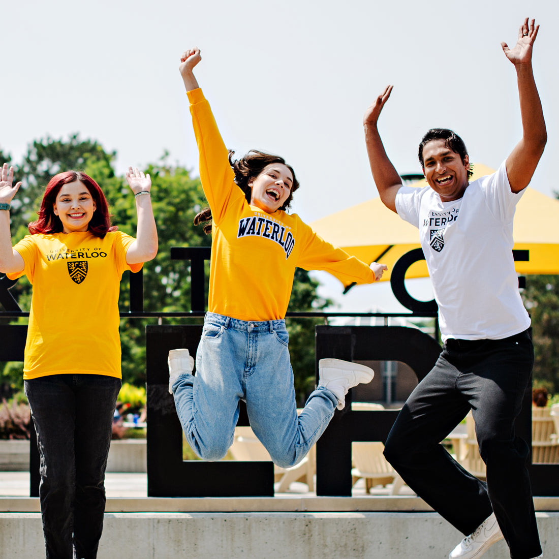 UWaterloo 3-Pack Tee Bundle