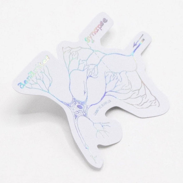 Picture of Cognitive Surplus Eco Friendly Metallic Rainbow Foil Stickers Type: Synapse