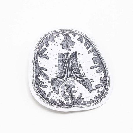 Picture of Cognitive Surplus Eco Friendly Sticker Type: Brain Scan