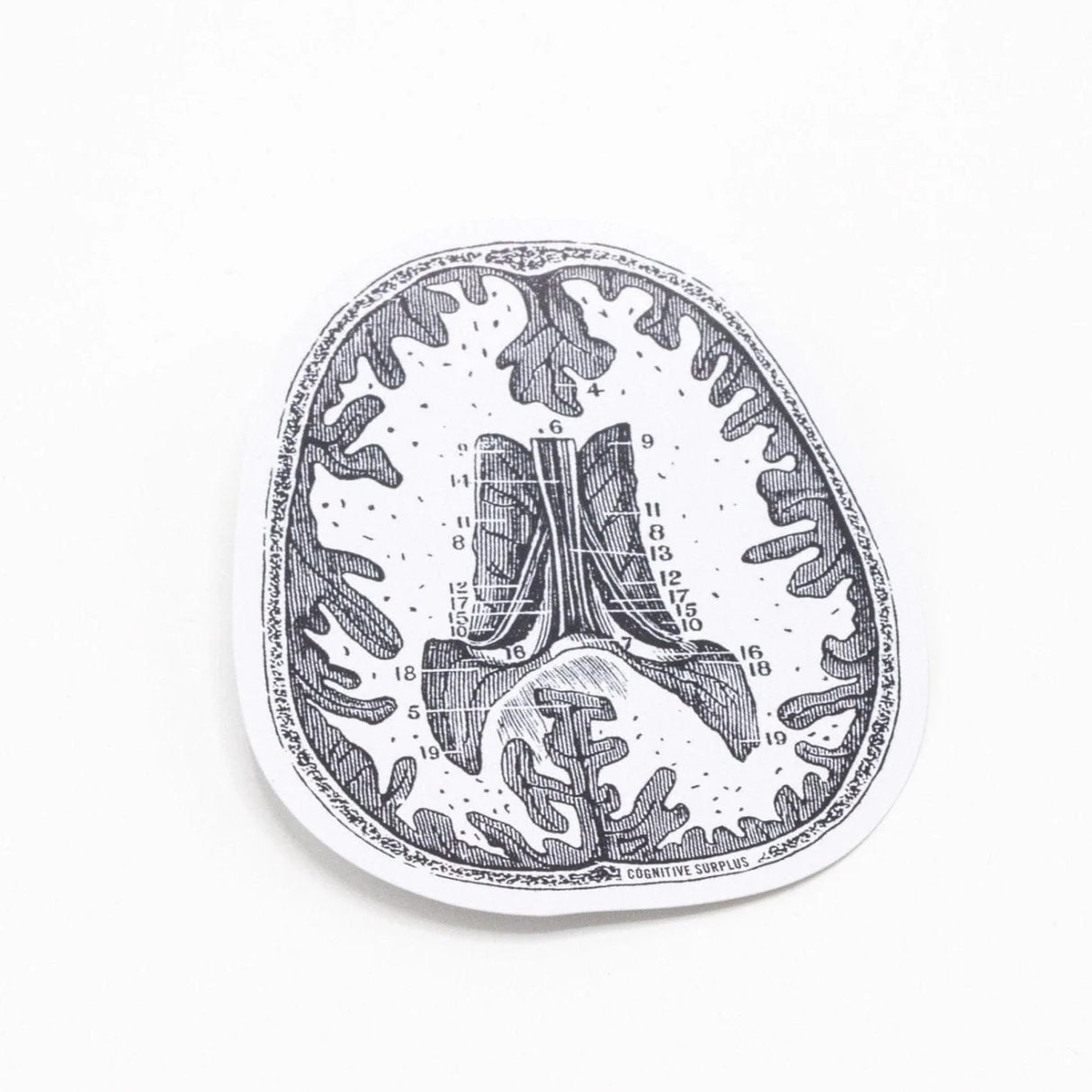 Picture of Cognitive Surplus Eco Friendly Sticker - BrainScan