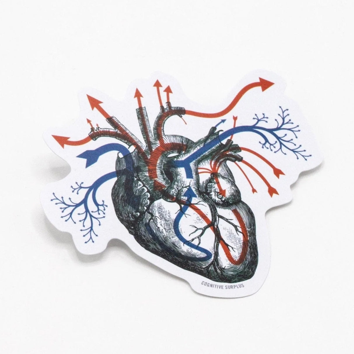 Picture of Cognitive Surplus Eco Friendly Sticker - HeartBloodFlow