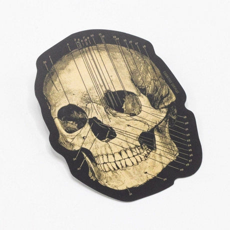 Picture of Cognitive Surplus Eco Friendly Sticker Type: Skull