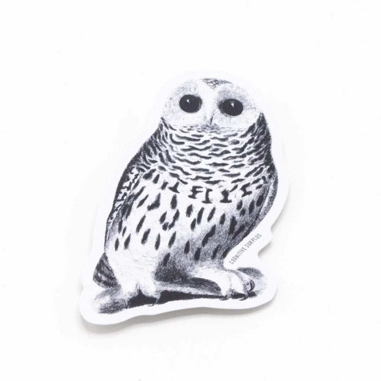 Picture of Cognitive Surplus Eco Friendly Sticker - SnowyOwl