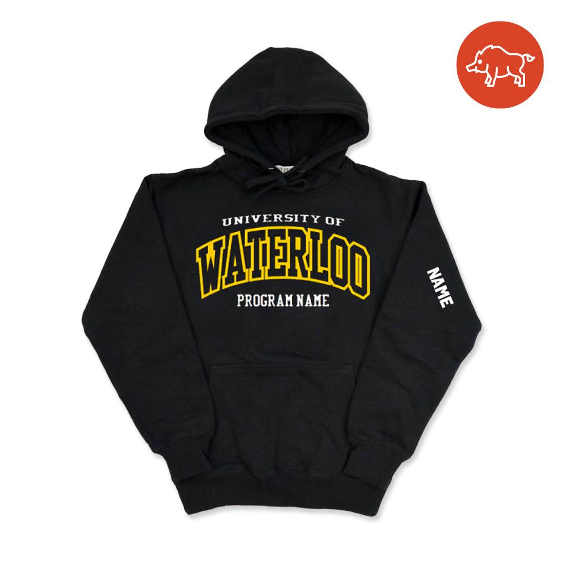 Picture of Custom Arts Program Hoodie Pre-Order