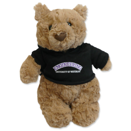 Picture of Faculty Bear Faculty: Engineering