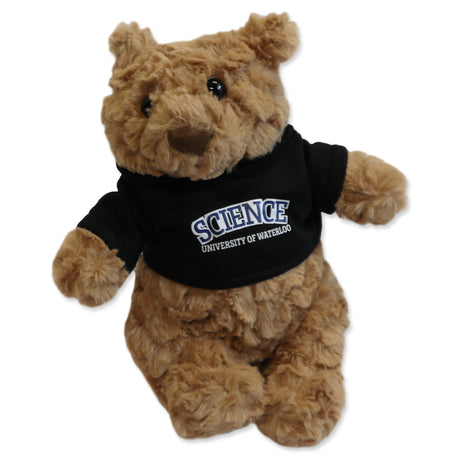 Picture of Faculty Bear Faculty: Science