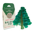 Picture of Crystal Growing Balsam Fir
