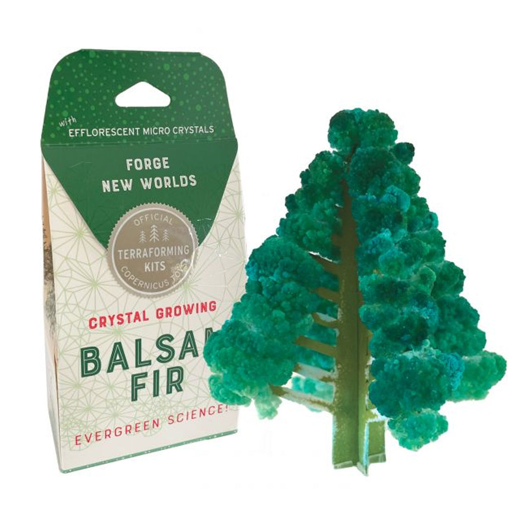 Picture of Crystal Growing Balsam Fir