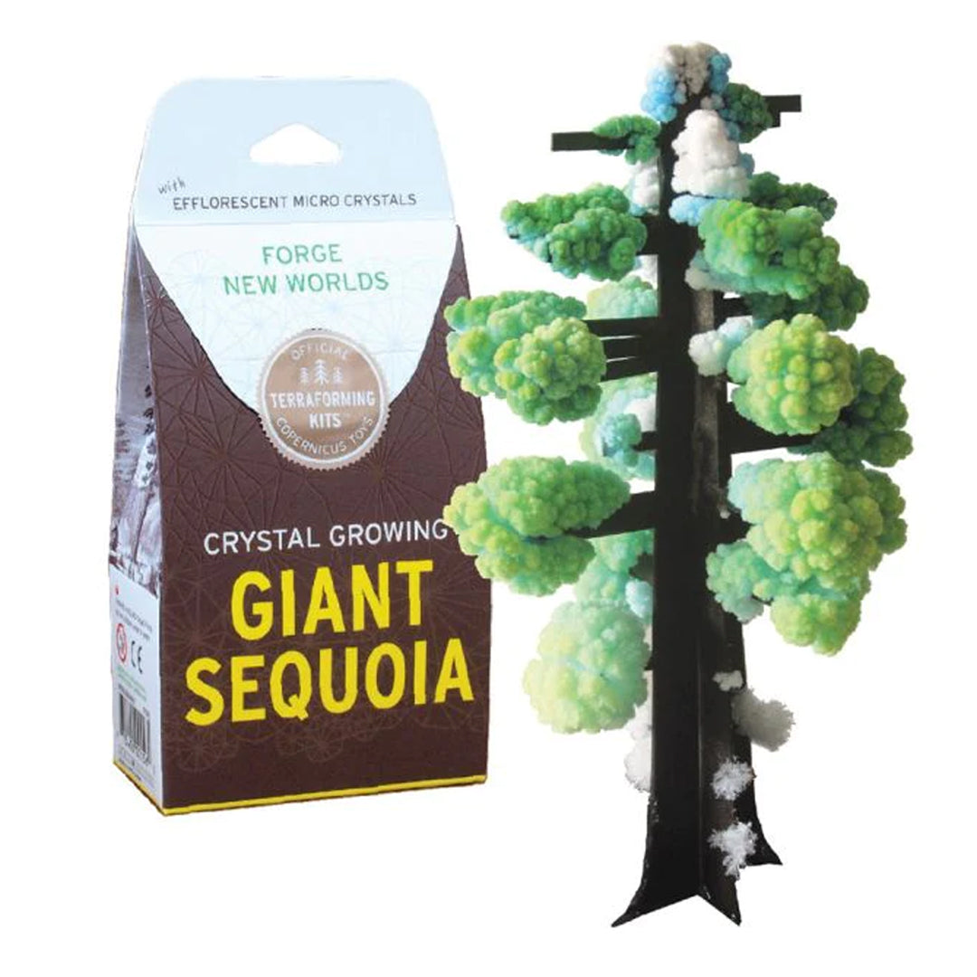 Picture of Crystal Growing Giant Sequoia