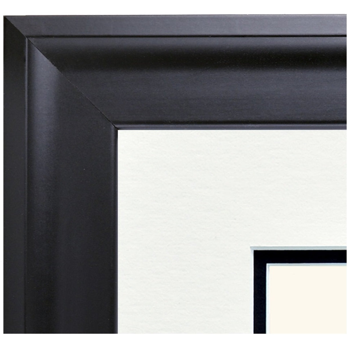 Alternate view of University of Waterloo Contemporary Package