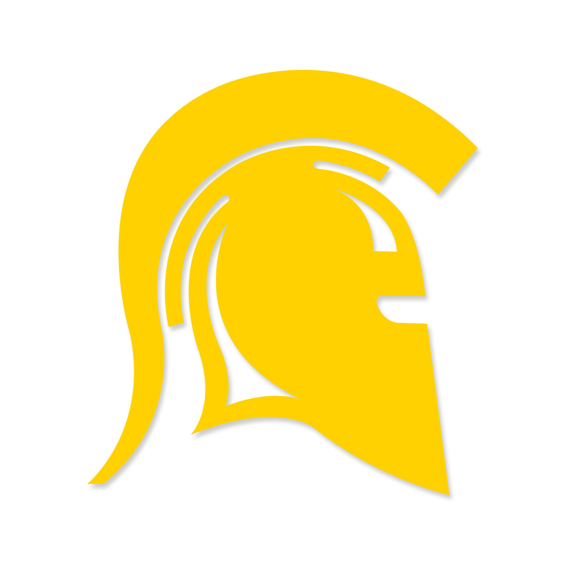 Picture of Warriors Football Car Decal