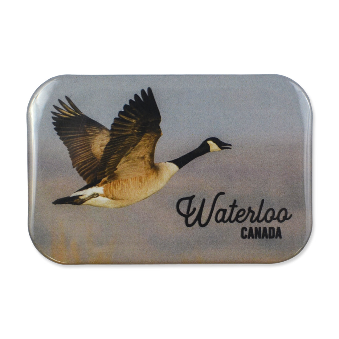 Picture of Flying Goose Magnet