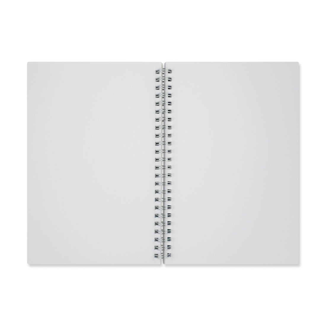 Picture of Julia Gash Spiral Journal