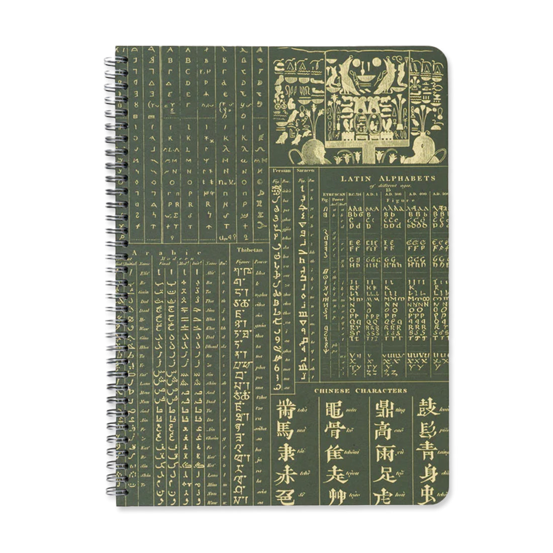 Picture of Cognitive Surplus: The Helix Series Spiral Notebook - Linguistics