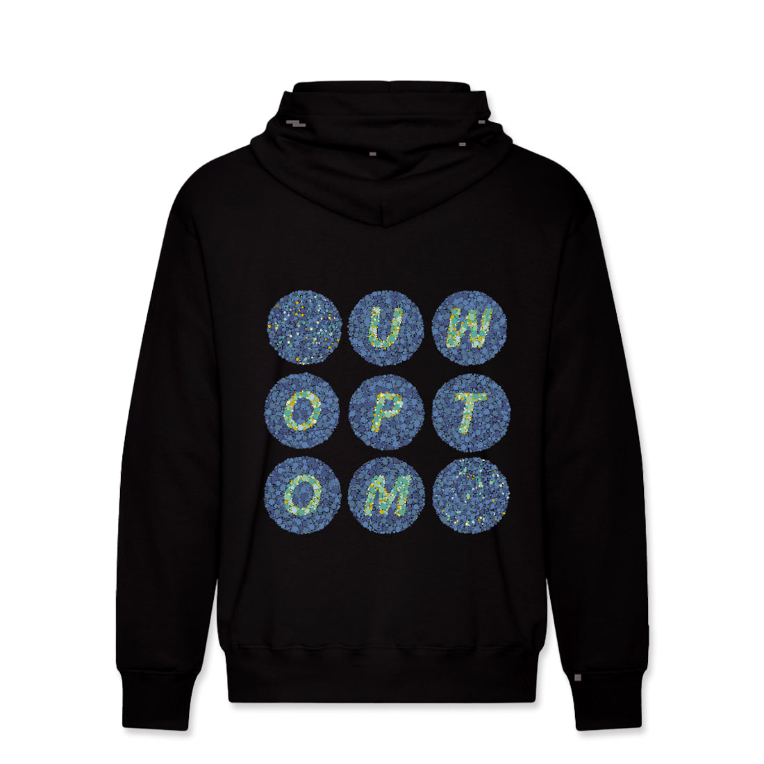 Picture of School of Optometry Class of 2029 Hoodie - Black