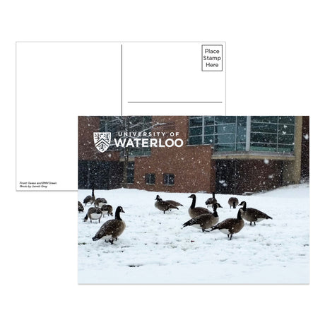 Picture of UWaterloo Postcard Cover rt: Geeseand BMHGreen