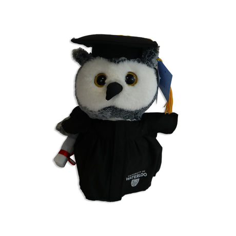Picture of UWaterloo Grad Owl