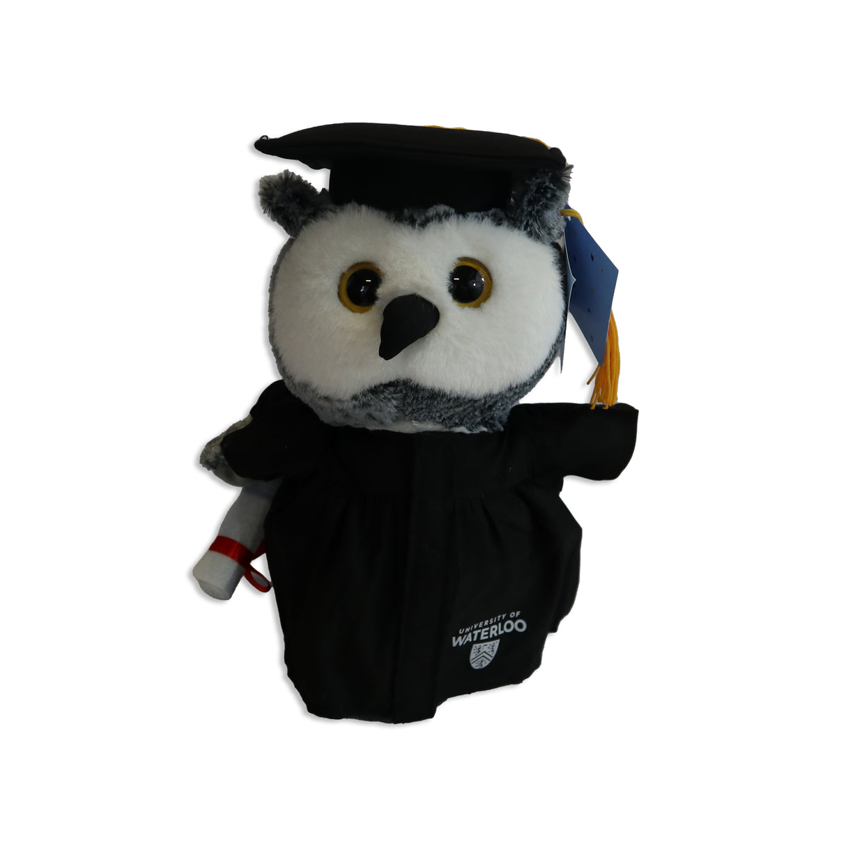 Picture of UWaterloo Grad Owl