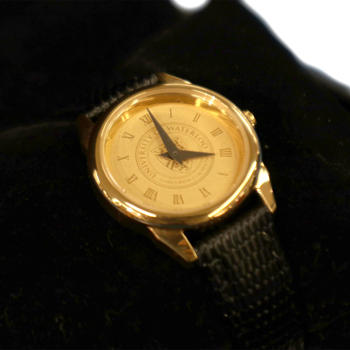 Alternate view of UWaterloo Watch