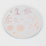 Picture of Cognitive Surplus Eco Friendly Metallic Rainbow Foil Stickers Type: Petri Dish