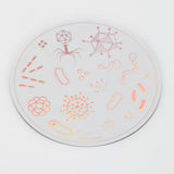 Picture of Cognitive Surplus Eco Friendly Metallic Rainbow Foil Stickers - PetriDish