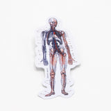 Picture of Cognitive Surplus Eco Friendly Sticker Type: Anatomy
