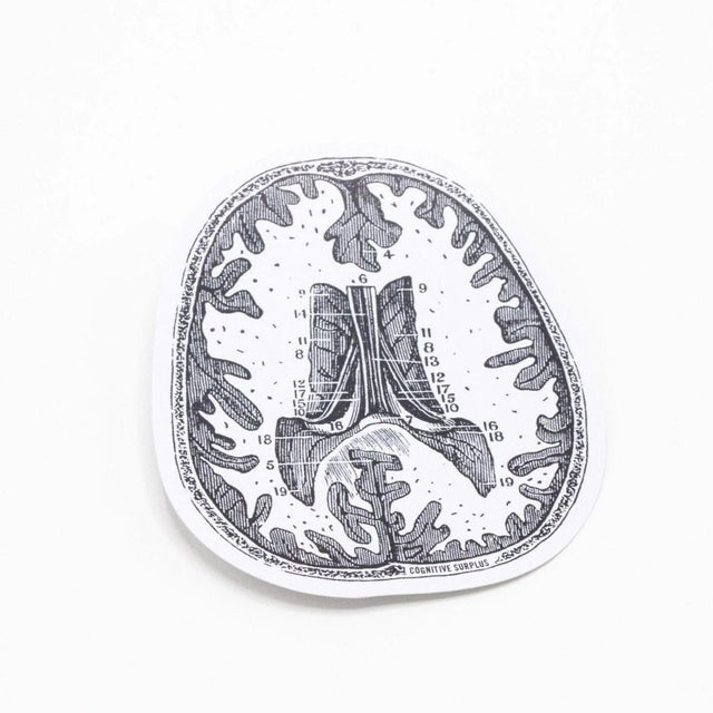 Picture of Cognitive Surplus Eco Friendly Sticker Type: Brain Scan