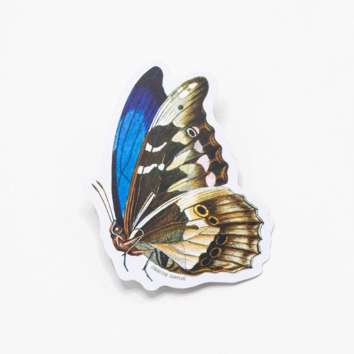 Picture of Cognitive Surplus Eco Friendly Sticker Type: Butterfly