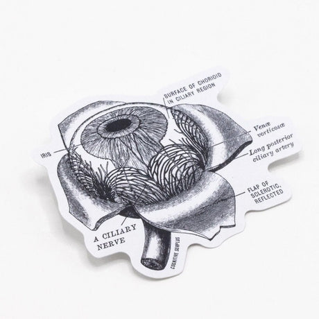 Picture of Cognitive Surplus Eco Friendly Sticker - EyeAnatomy