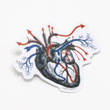 Picture of Cognitive Surplus Eco Friendly Sticker Type: Heart Blood Flow