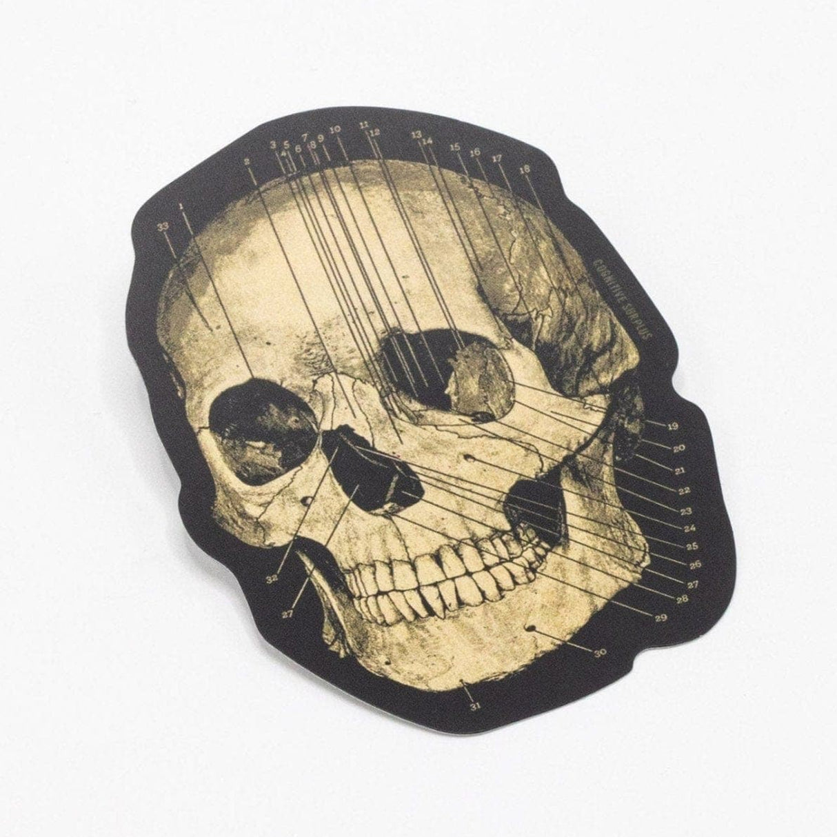 Picture of Cognitive Surplus Eco Friendly Sticker - Skull