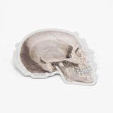 Picture of Cognitive Surplus Eco Friendly Sticker - SkullProfile