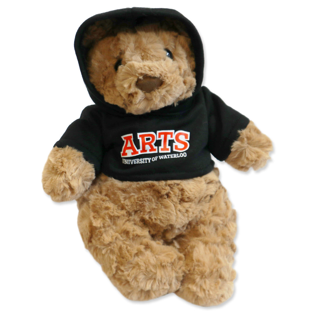 Picture of Faculty Bear