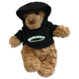 Picture of Faculty Bear Faculty: Environment