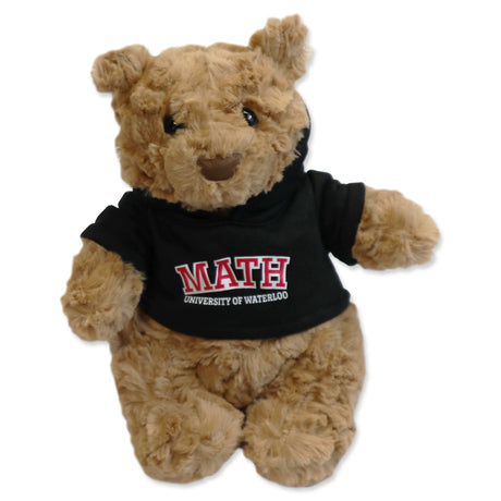 Picture of Faculty Bear - Math