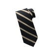 Picture of UWaterloo Silk Tie - Stripes