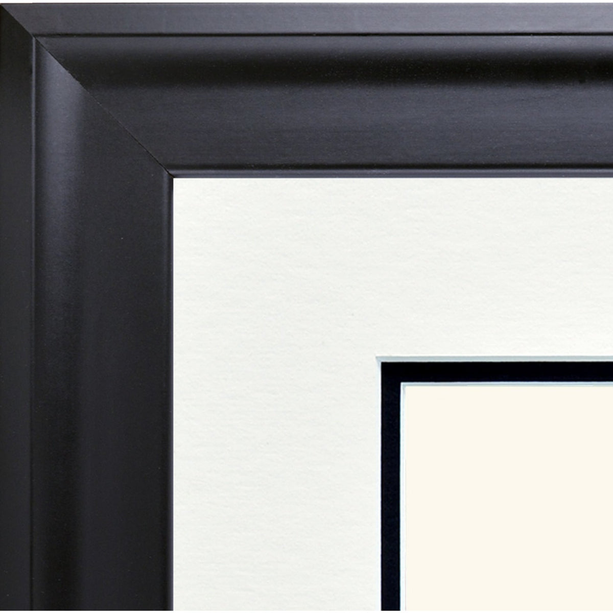 Picture of Contemporary Diploma Frame