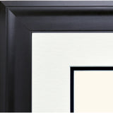 Picture of Contemporary Diploma Frame