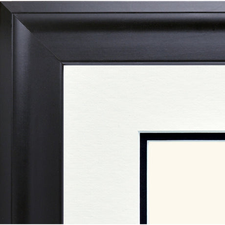 Picture of Contemporary Diploma Frame