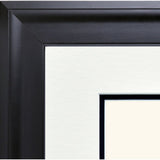 Picture of Pre-1984 Contemporary Diploma Frame