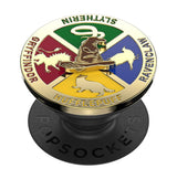 Picture of PopGrip Type: Sorting Hat Spinner