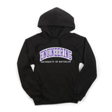 Picture of Faculty Hoodie Pullover - Engineering
