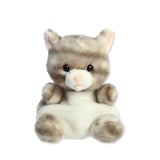 Picture of Palm Pals Type: Silver Kitty