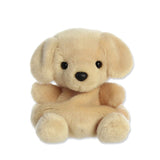 Picture of Palm Pals Type: Sunny Lab