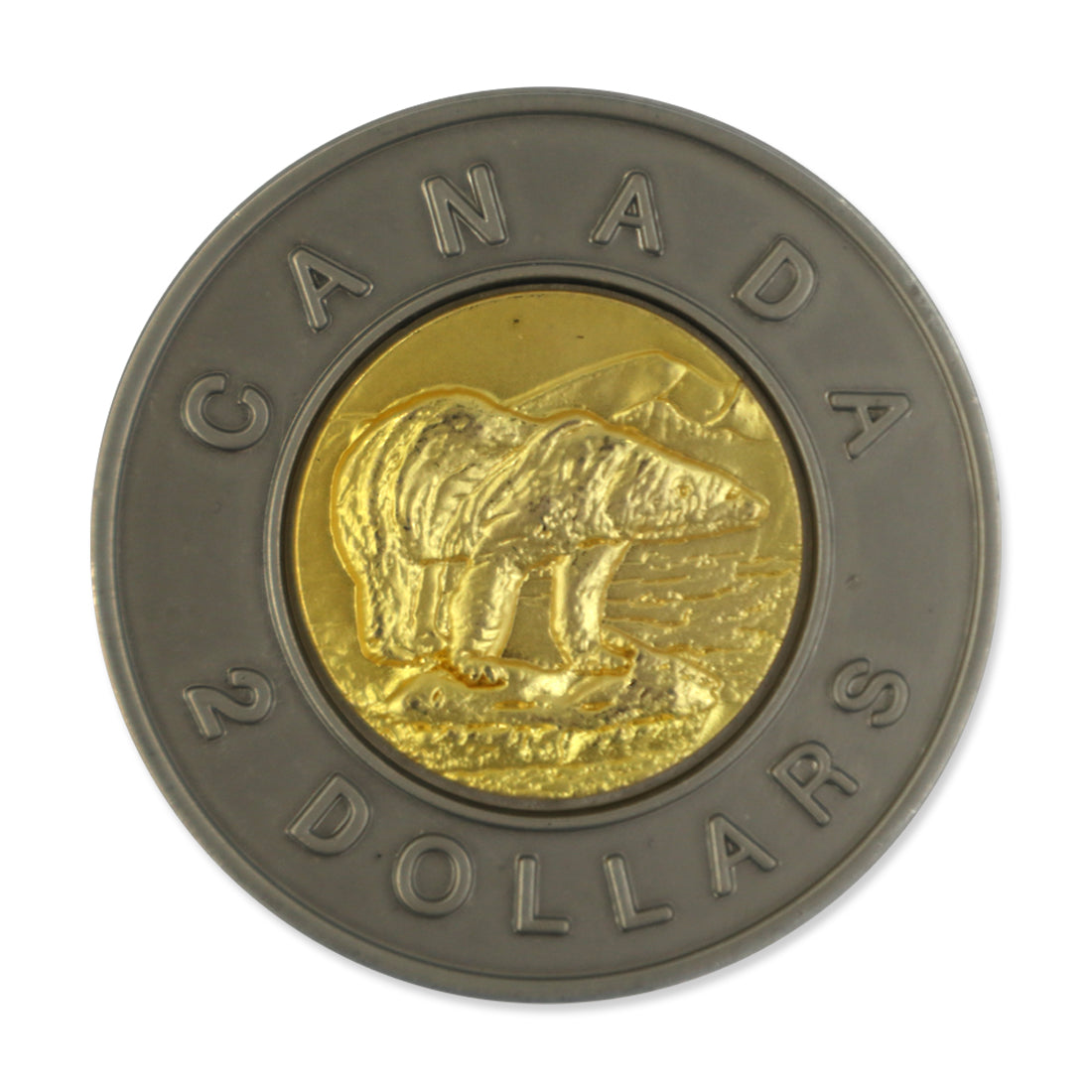 Picture of Coin Magnet - Toonie