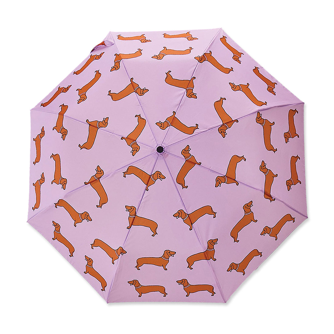 Alternate view of Duckhead Umbrella Colour: Dachshund