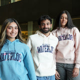 Picture of UWaterloo Spring Flower Hoodie - Light Blue