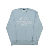 Picture of UWaterloo Varsity Crewneck - Light Blue