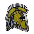 Picture of Warriors Indigenous Pin