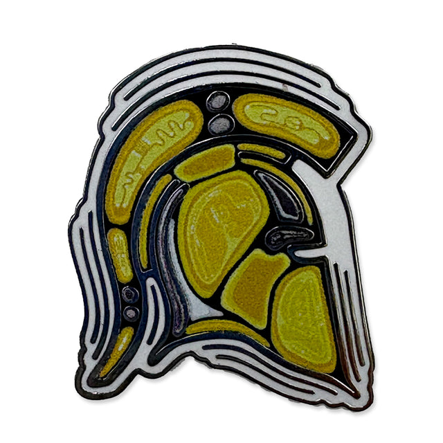 Picture of Warriors Indigenous Pin